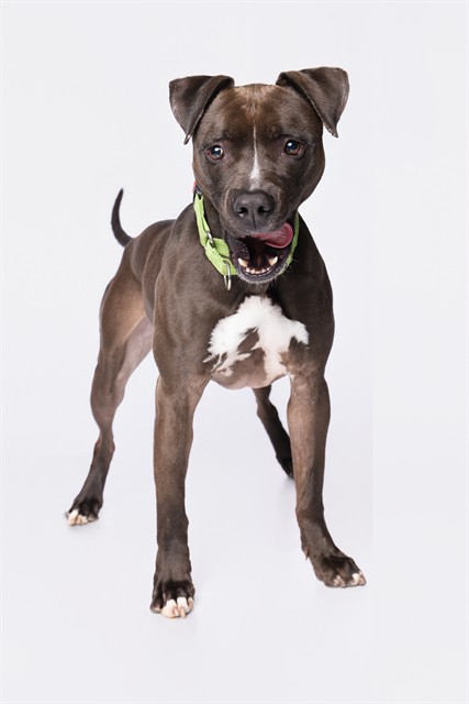 Roscoe