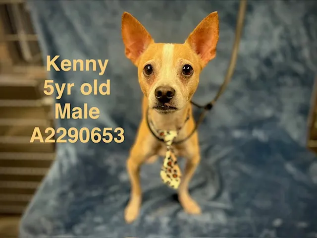 Kenny