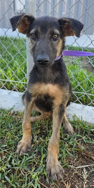 Lucy