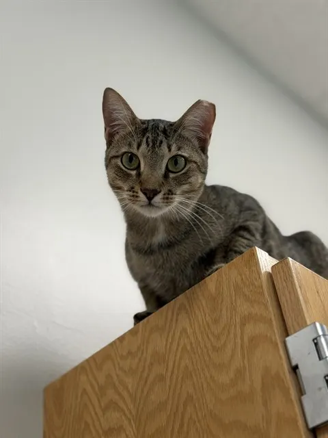 Marco