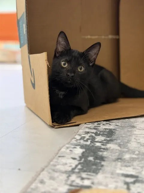 George