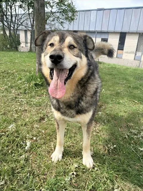 Max