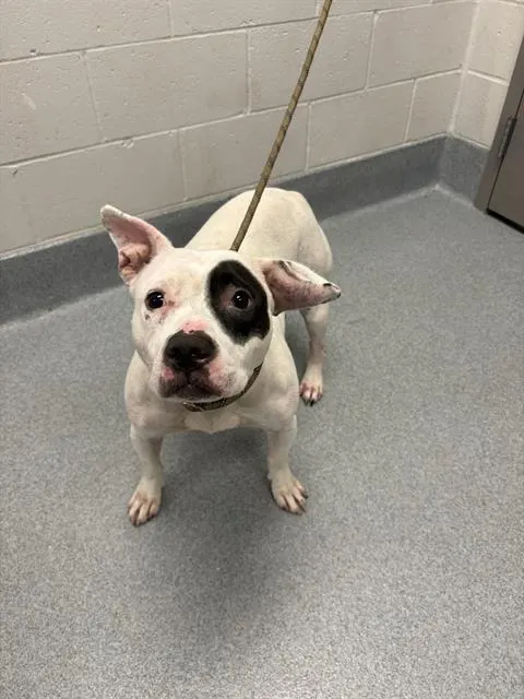 Matilda