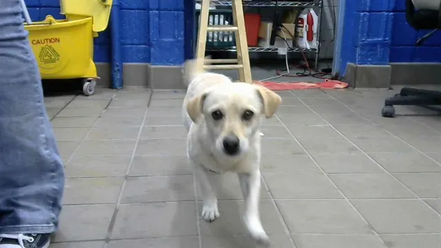 Sneezy
