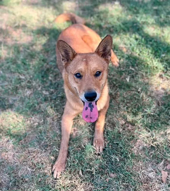 Copper