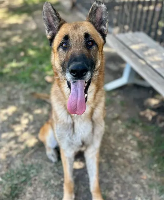 Max