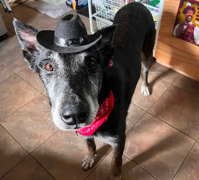 Roy Rogers