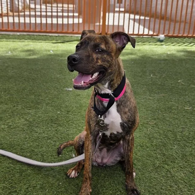 *Mona Stangley