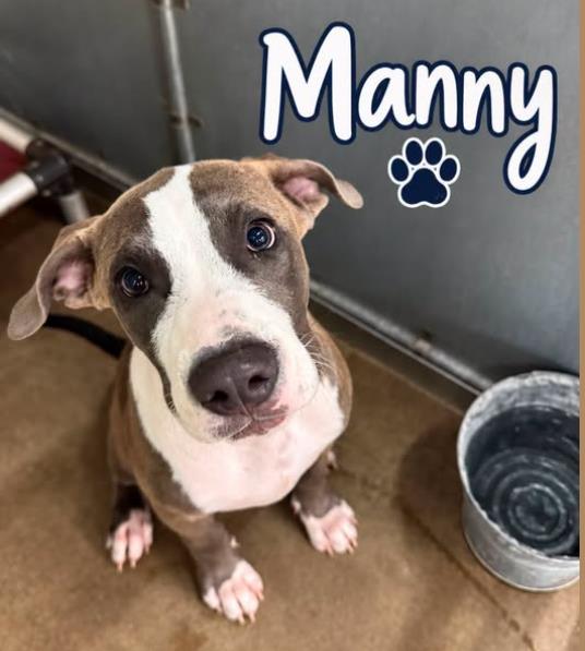 Manny
