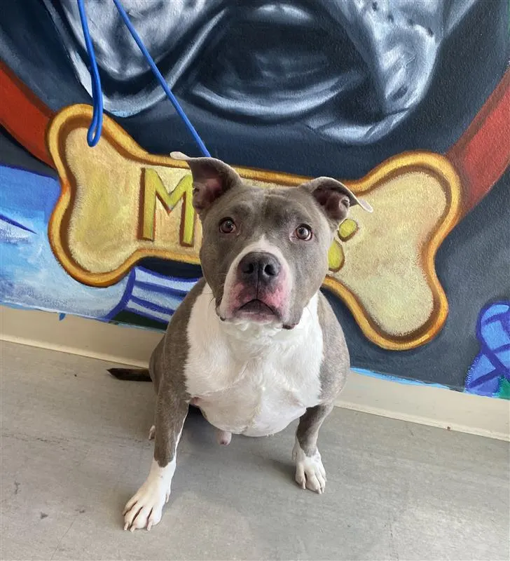 Milo
