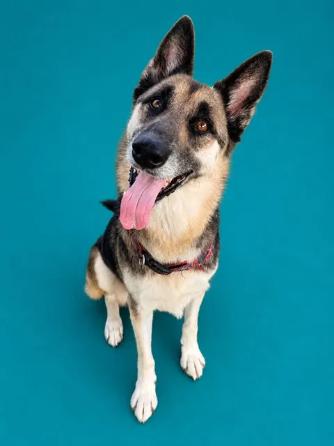 Max