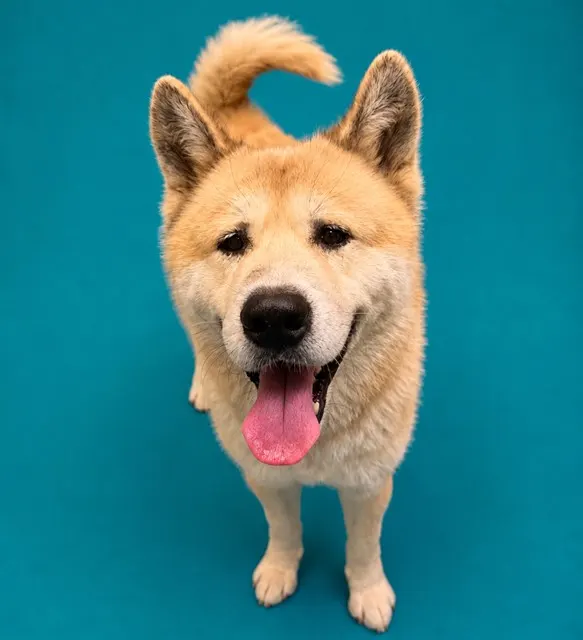 Yao