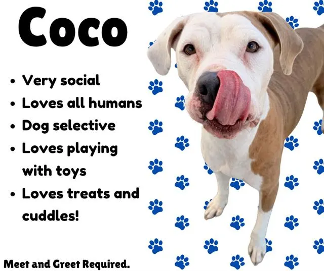Coco