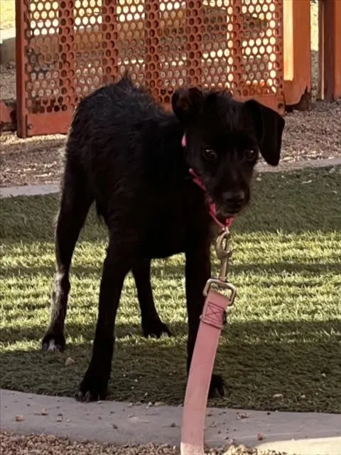 *Luna