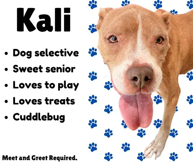 Kali
