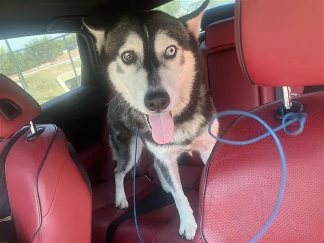 Kira