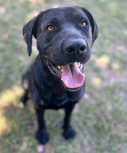 Sammy