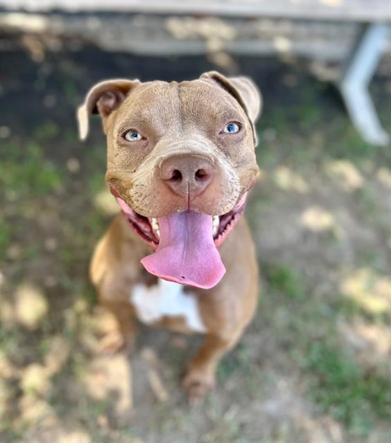 Xena