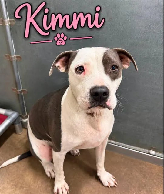 Kimmie