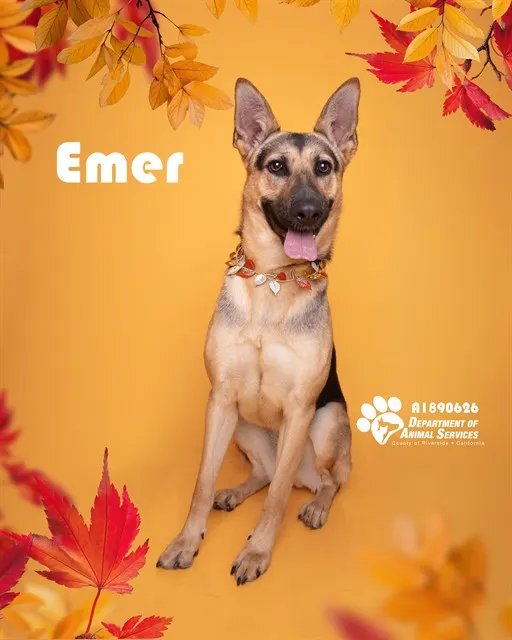 Emer