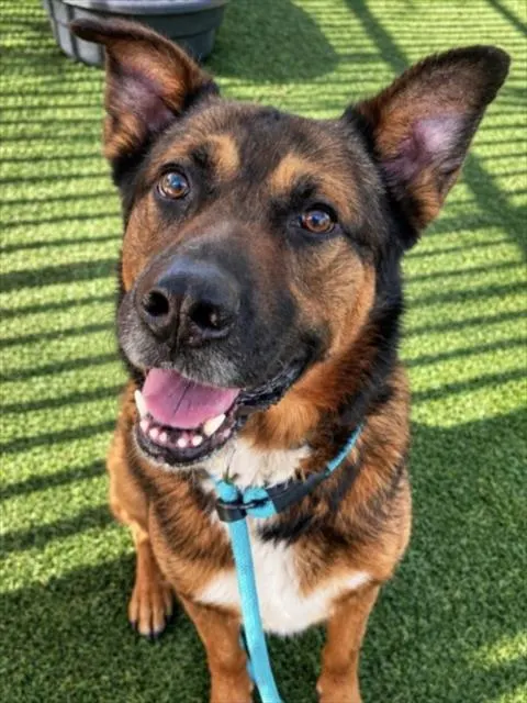 Jax