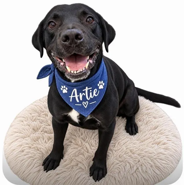 Artie