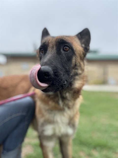 Lulu