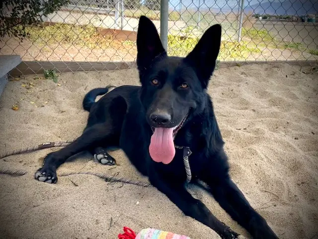 Bruce