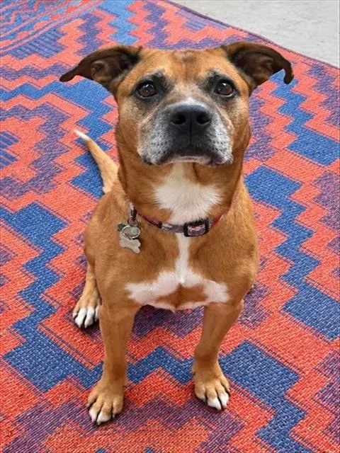 Gus