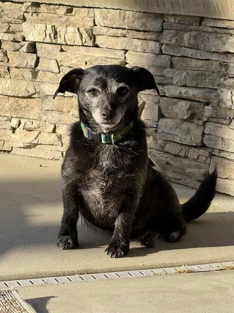Roscoe