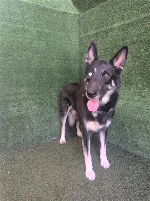 Luna