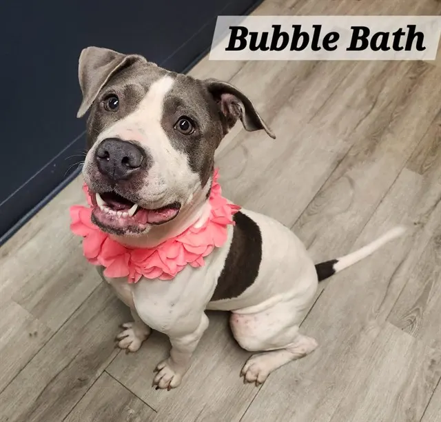 Bubble Bath