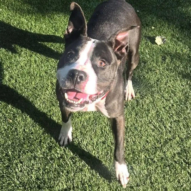 Max