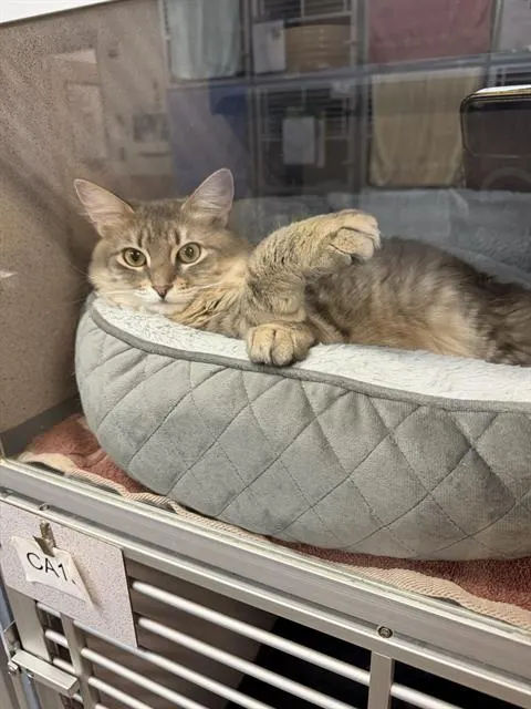Luna