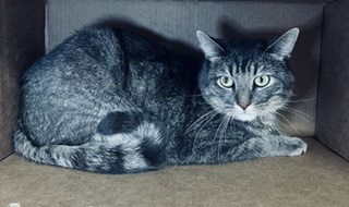 Percy