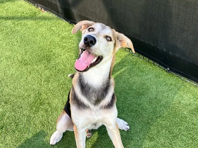 Tucker