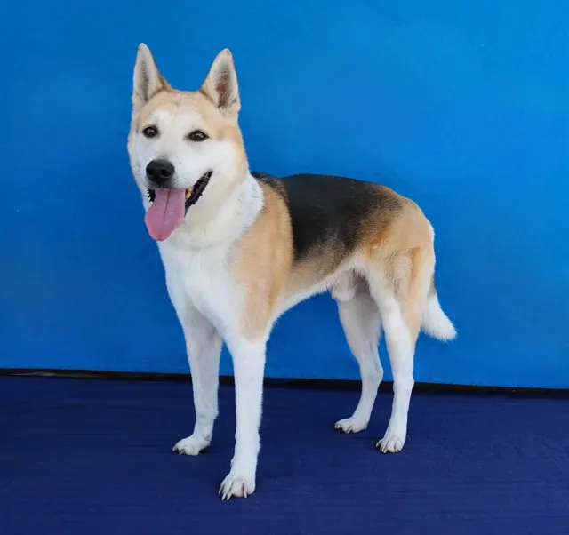 Max