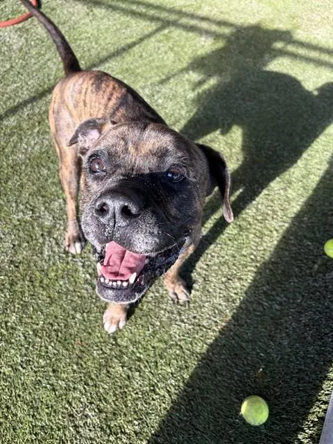 Paco