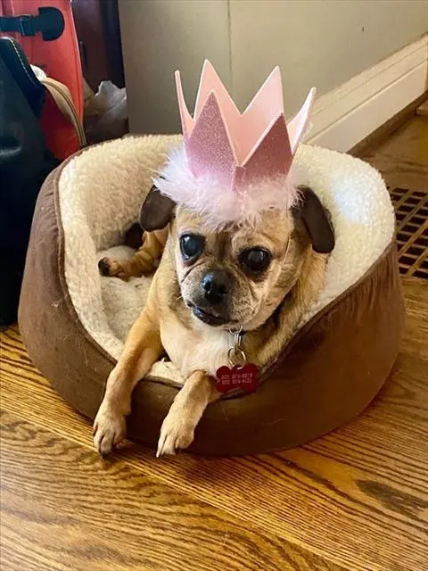Madam Arlene Sparkles