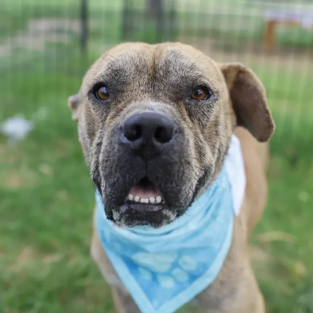 Theodore