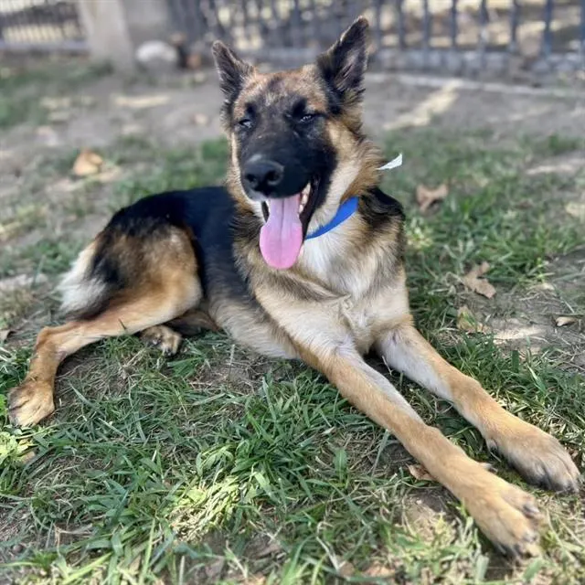 Zeek