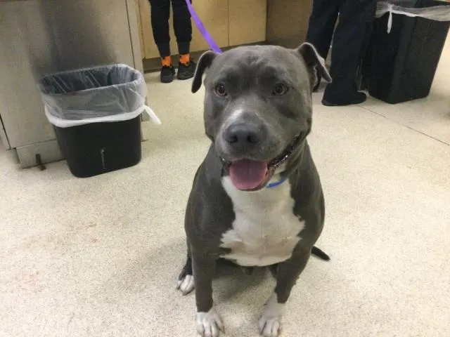 Bruce