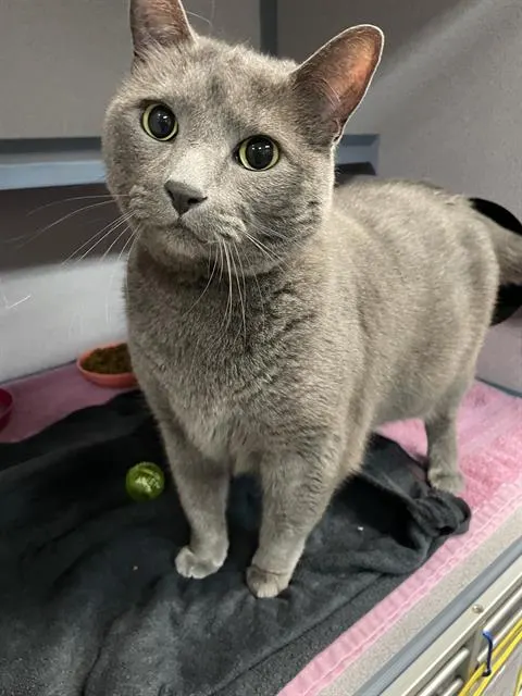 Luna Marie