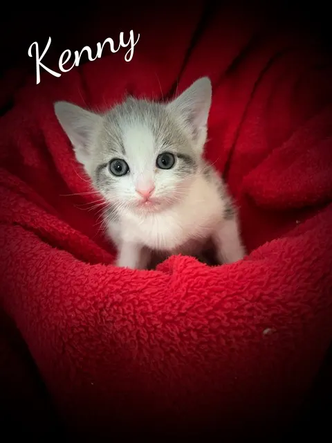 Kenny