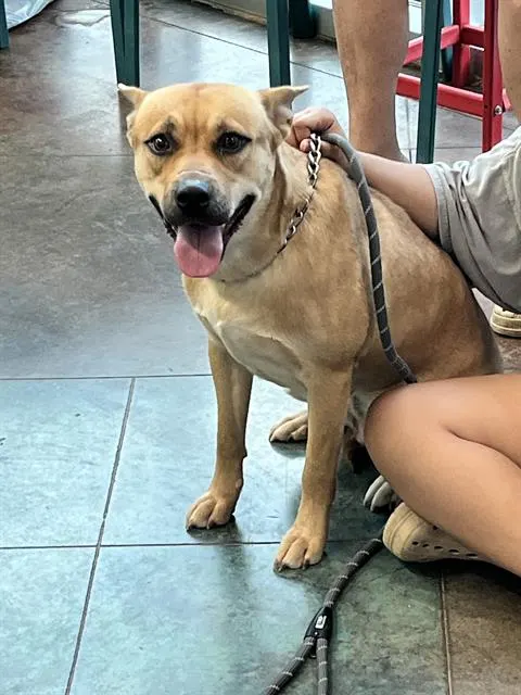 Scooby