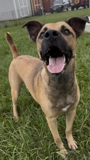 Shiloh