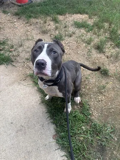 *Petey