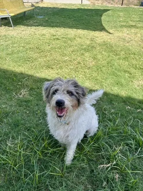 Jax