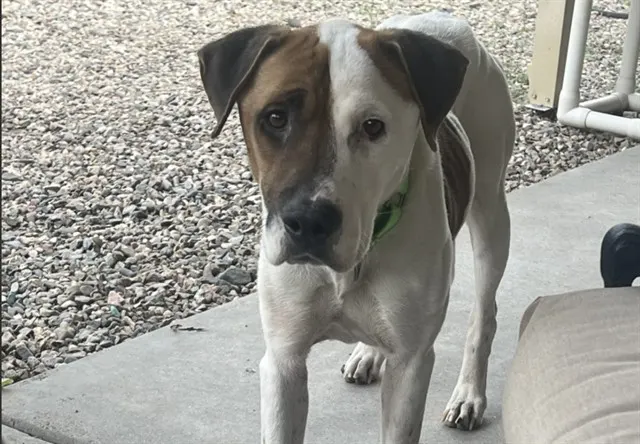 Xena