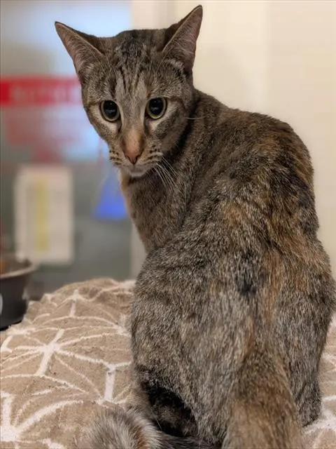 Lucy